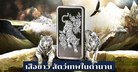 เทพเสือจางซาน 43|เสืออะไรหล่อขนาดนี้! เทพเสือจางซาน .
